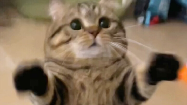 I’m so pissed off! Get the hell out, Ke!