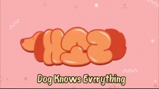 Dog Knows Everything eps 12 END