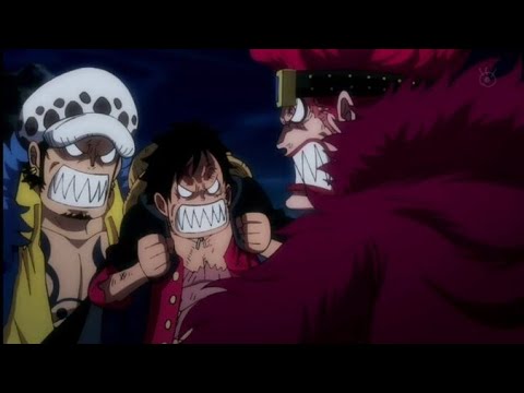 Law Is Luffy S Subordinate One Piece 1016 Bilibili