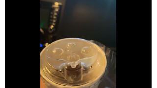 McDonald's cup.