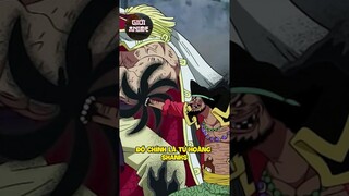 Râu đen sợ ai nhất trong One Piece | One Piece #anime #onepiece #Blackbeard #shanks