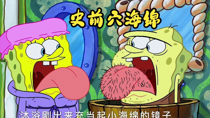 Prehistoric cave sponges were awakened, all because Chelsea loves little sponges!