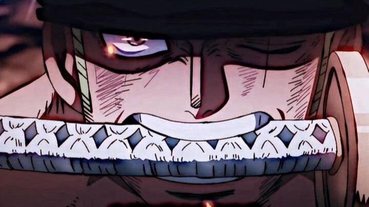 “I hate excuses like this the most” #Zoro #OnePiece