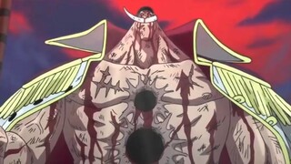Top 10 nhân vật mạnh nhất One Piece ở thời đại cũ p8