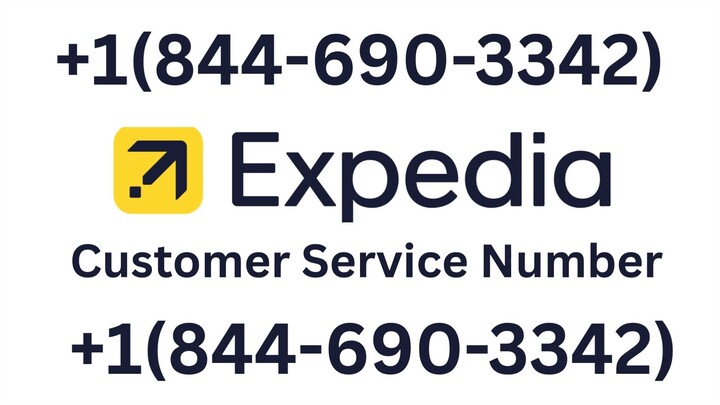 Official Expedia® Customer Service Number | Full Guide to Live Chat, Email & Call Support Instant