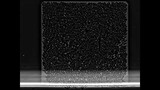 Time-lapse microscopy: phase images of E. coli cells growing in a microfluidic device for 24h