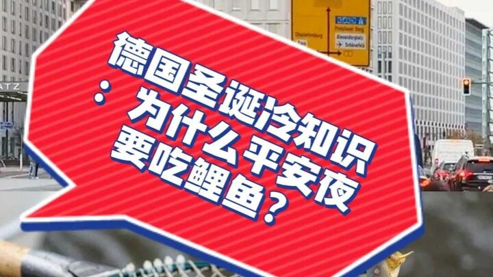 Bí ẩn Giáng Sinh ở Đức: Vì sao đêm Giáng Sinh lại ăn cá chép?