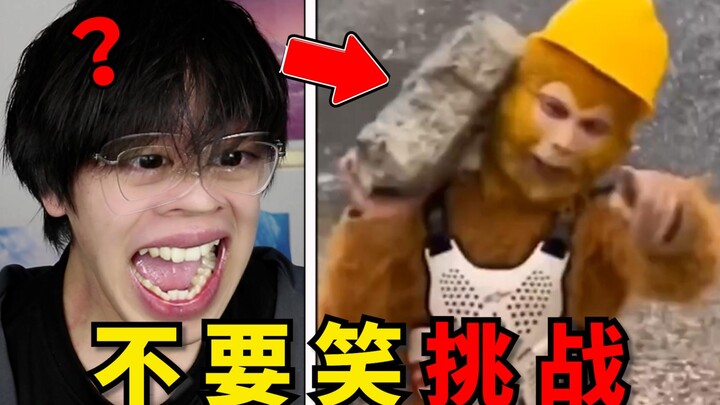 Phá hỏng tuổi thơ của tôi! Vua Khỉ này làm tôi cười chết mất haha [Thử thách không cười]