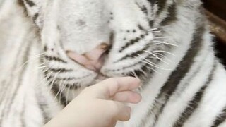 真不是我干的啊！！