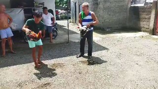 sparring grey vs sweater