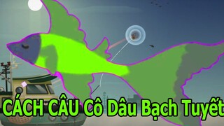 Hướng Dẫn Câu Cá Cô Dâu Bạch Tuyết Công Chúa Ngủ Dưới Biển Fishing Life Top Game Android Ios