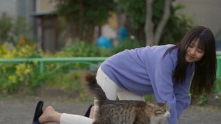 The latest super healing Japanese movie of 2023! Highly recommended