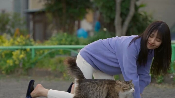 أحدث فيلم ياباني مريح للغاية لعام 2023! موصى به