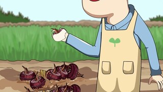 荸荠头上的苗割早了也不行#荸荠