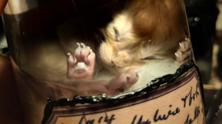 “Saat berakhir adalah saat terhenti, saat terhenti adalah selamanya” [Gangguan Berat]