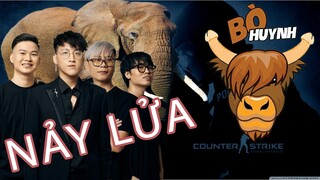 BÔ CÙNG ĐỒNG BỌN BẮN FACEIT GẶP NGAY TEAM BÒ HUYNH NGANG TÀI NGANG SỨC