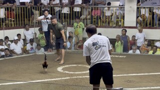 Loss orani coliseum 2/19/25