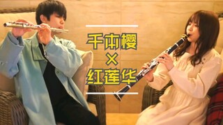【เซมบงซากุระ × กุเรนฮวา】การปะทะกันของคลาริเน็ตและฟลุต