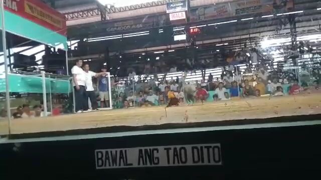 1st fight 2hits ulutan.