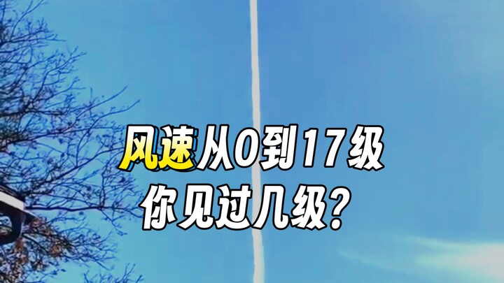 Kekuatan angin tingkat 0–17, kamu bisa tahan sampai berapa tingkat?