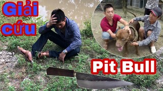 Cùng Team Săn Bắt Ẩm Thực Vùng Cao Liều Mình Đột Nhập Lò Mổ Giải Cứu Pitbull | Trần Thạch Vlogs