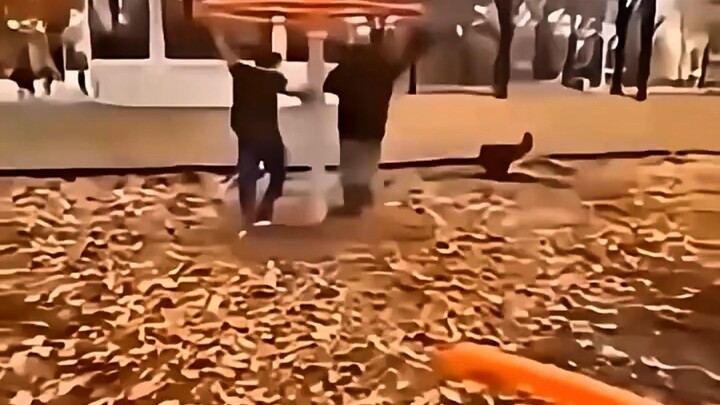 #funnyvideo #viral
