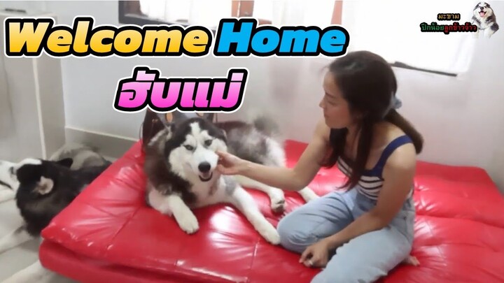 “Welcome Home”  ฮับแม่แม่หมิว หลังจากทุกคนผ่านระยะกักตัว  | มะขาม ปึกน้อย ลูกข้าวจ้าว EP. 314
