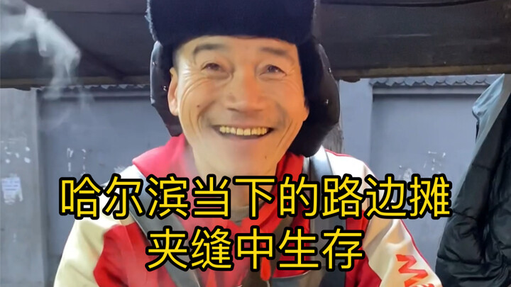 哈尔滨当下的路边摊，夹缝中生存，老北京炒饼！