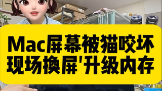 猫咪咬碎小姐姐Mac屏幕，以为是不开机了，叶师傅现场修好，再升级内存16G。