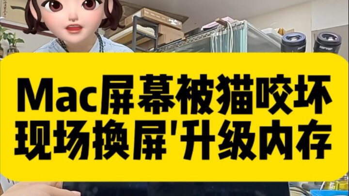 Mèo cắn vỡ màn hình Mac của cô gái trẻ, tưởng chừng như không khởi động được nữa, nhưng anh Diệp đã 