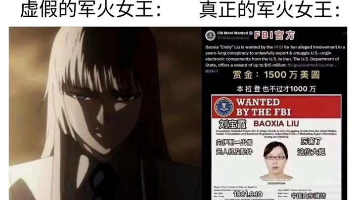 虚假的军火女王VS真正的军火女王刘保霞!因贩卖军火被美国通缉悬赏，比本拉登还贵