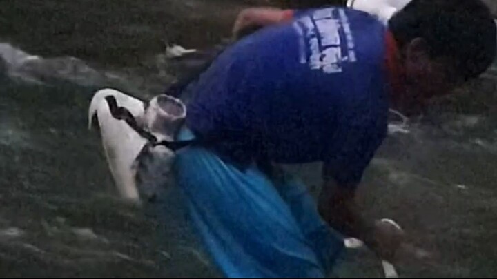 cast netting in Nepal | himalayan trout fishing with handmade cast net |