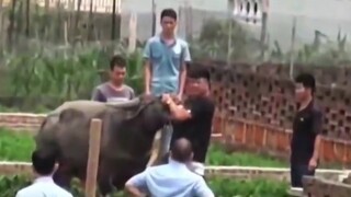 Siapakah yang mengganti peluru wakil direktur dengan peluru kosong?
