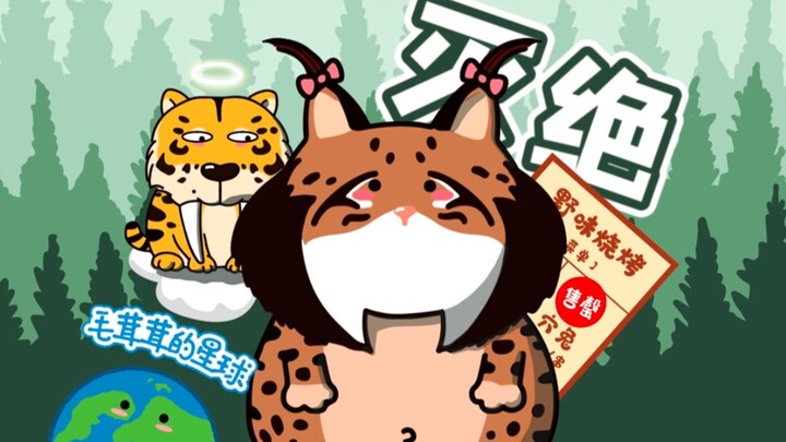 [Lynx] Nearly Driven to Extinction Because They Couldn’t Find Food