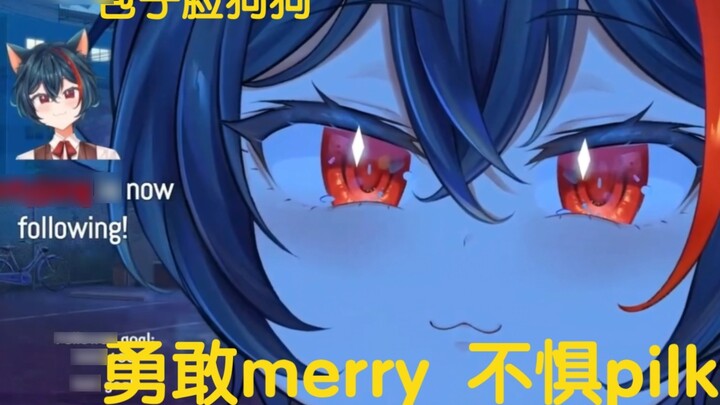 [Merry Weather] The dog who bravely tried pilk, his chubby face is so cute!!