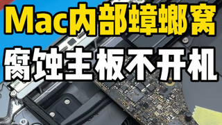 A cockroach crawled into my Mac. When I took it apart, I was shocked—dozens of cockroaches were scur