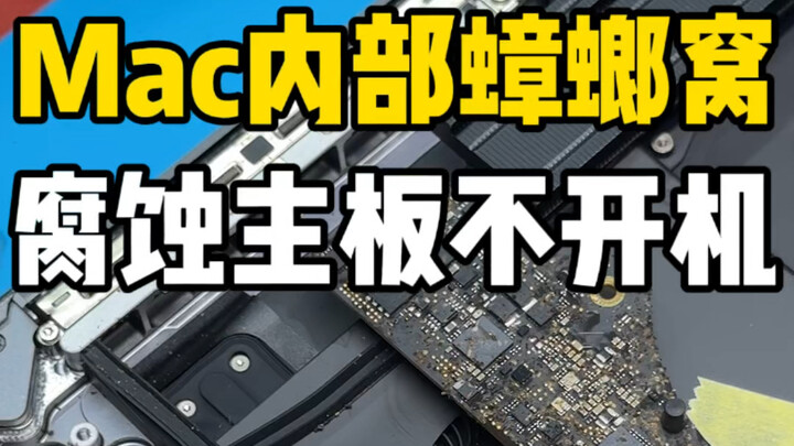 Máy tính Mac bị gián chui vào, tháo máy ra xem giật hết cả mình, cả đàn gián chạy lung tung, bo mạch