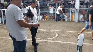Super 2hits Culis Cockpit Arena