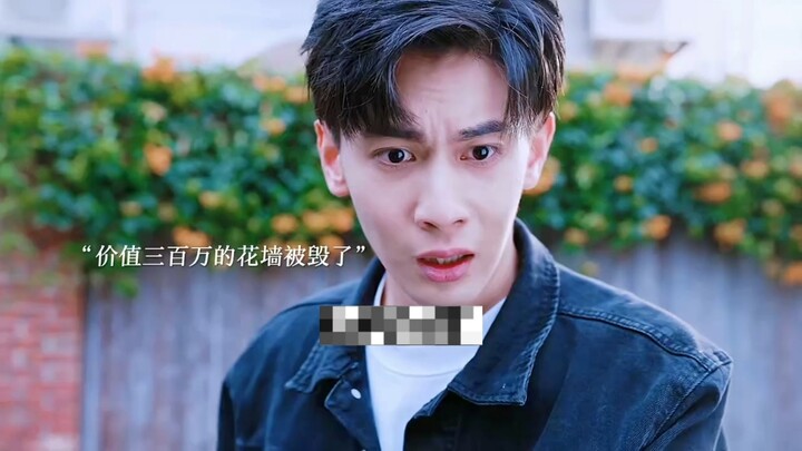 A flower wall worth three million yuan was destroyed, and I was even threatened: if I don’t move out