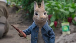 Peter Rabbit