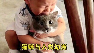 猫：这个家没法呆了我要去流浪，看得出来猫猫已经崩溃了