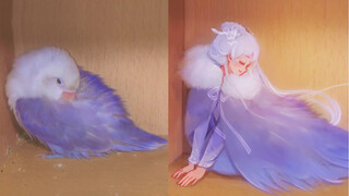 When a bird becomes a human...