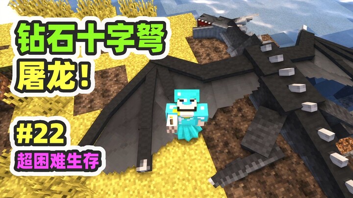 超困难模组生存22：无敌钻石弩！屠龙成功