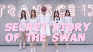 【全盛舞蹈工作室】IZONE《SECRET STORY OF THE SWAN》（幻想童话）舞蹈练习室