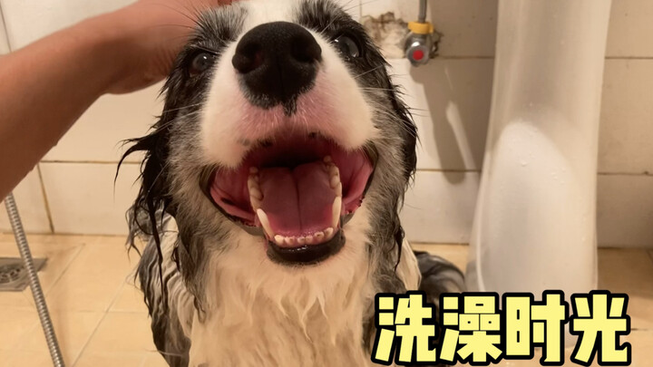Ini bukan anjing, jelas-jelas gadis kecil yang tak bisa bicara!