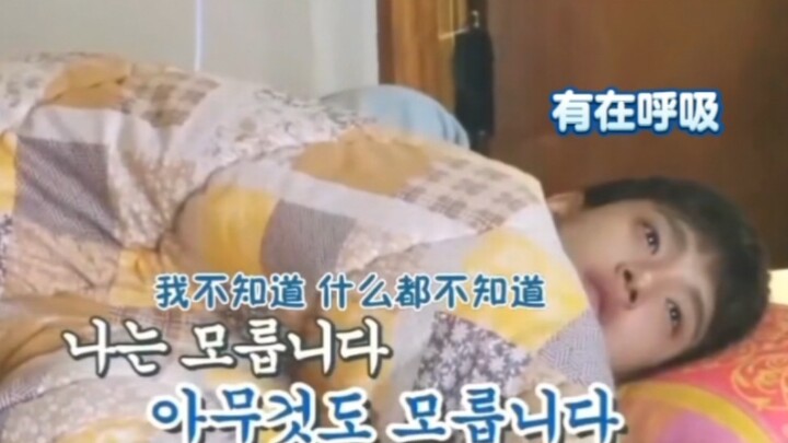 DK: Hustling in a World of 12 Teammates [SEVENTEEN]