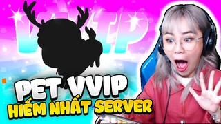 Play Together | Misthy trúng "độc đắc" với pet VVIP hiếm nhất server! Siêu thử thách từ fans?!