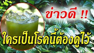 ข่าวดี !! แพทย์เผย...สมุนไพรพื้นบ้าน"นํ้าต้มใบชะพลู" ช่วยคุณได้