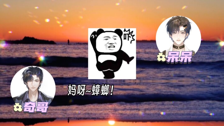 害怕蟑螂的老攻们，都被老婆宠成小娇妻了！！