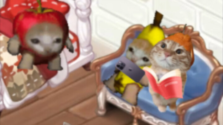 Banana Cat at the End of the Semester